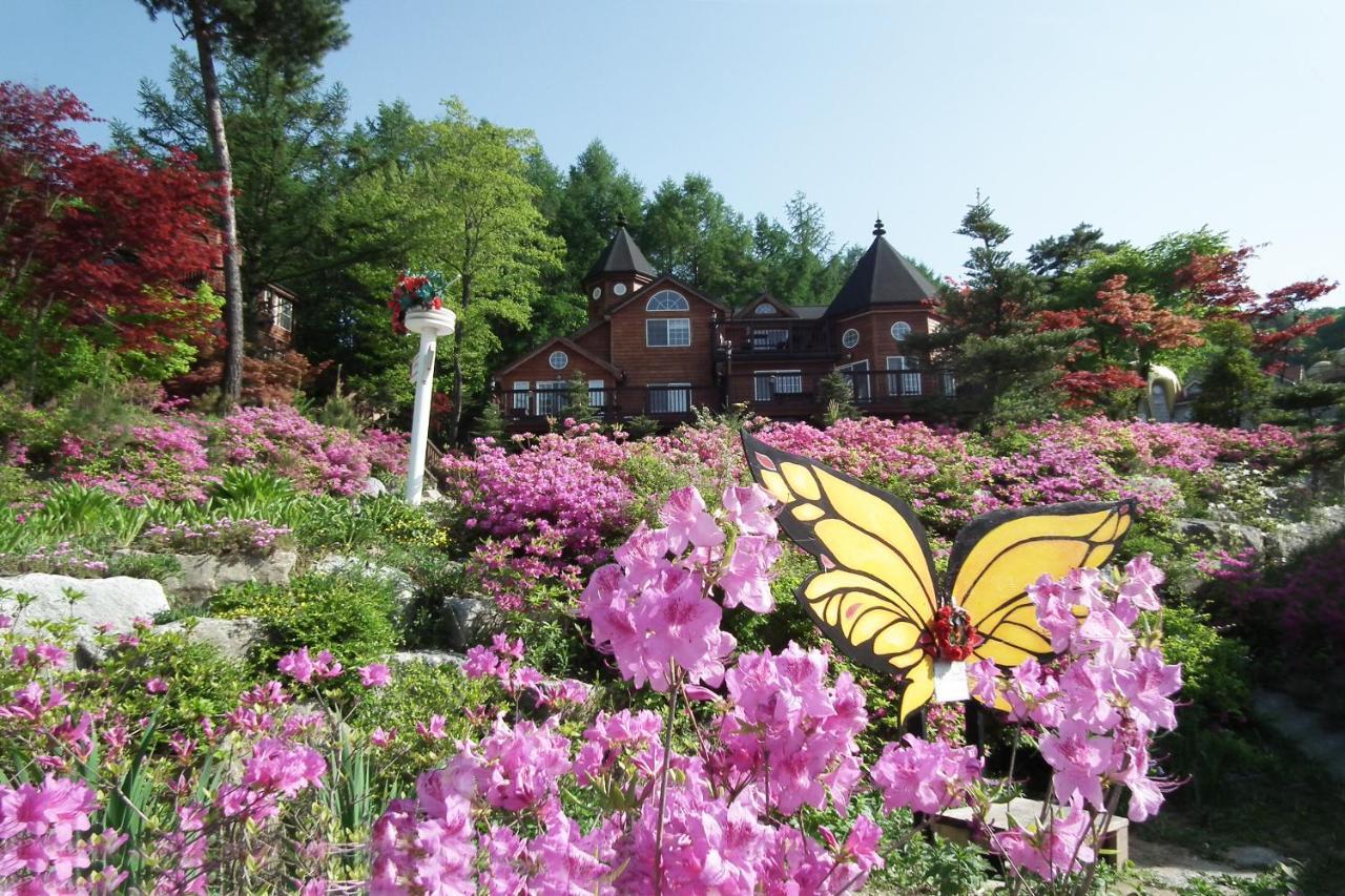 Elf Resort Hotel Pyeongchang Extérieur photo