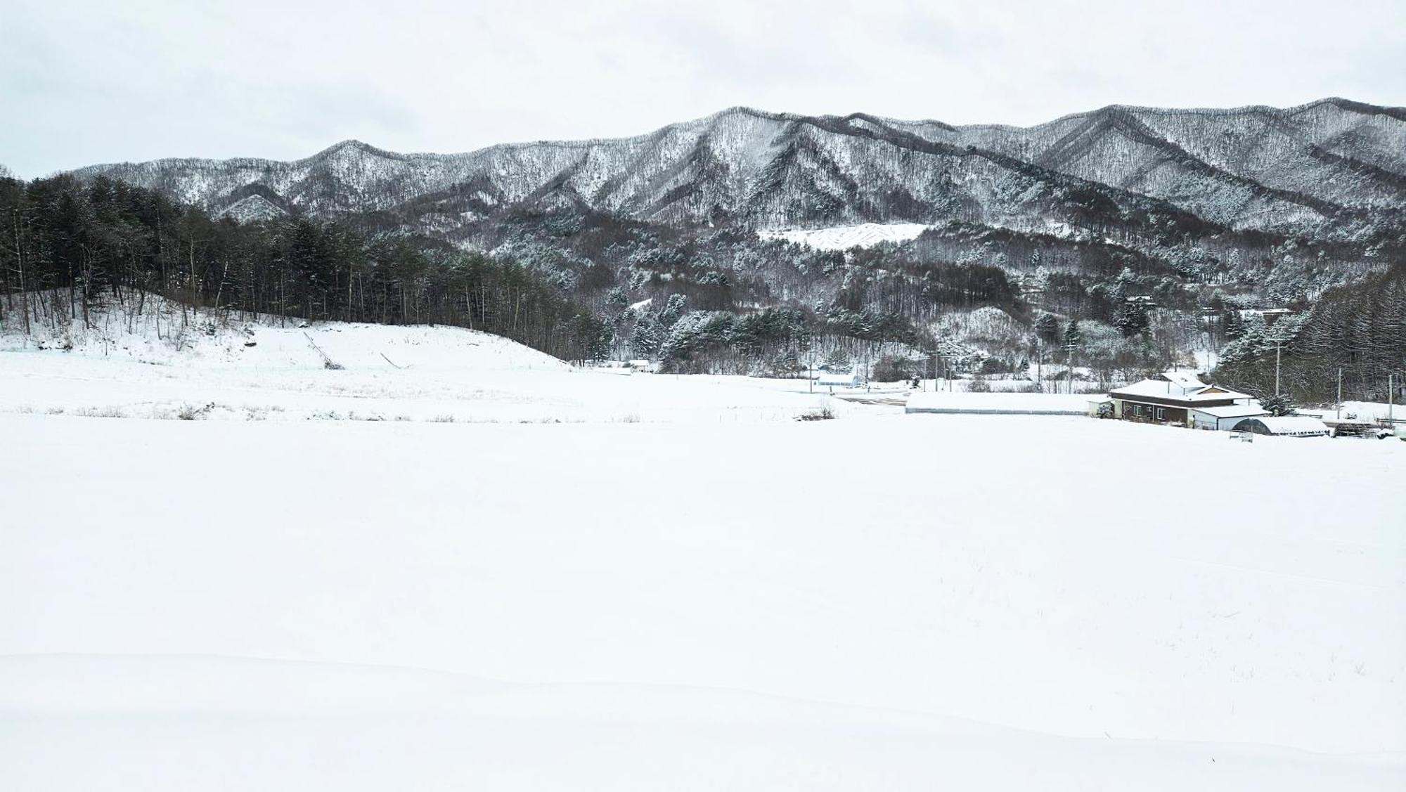 Elf Resort Hotel Pyeongchang Extérieur photo