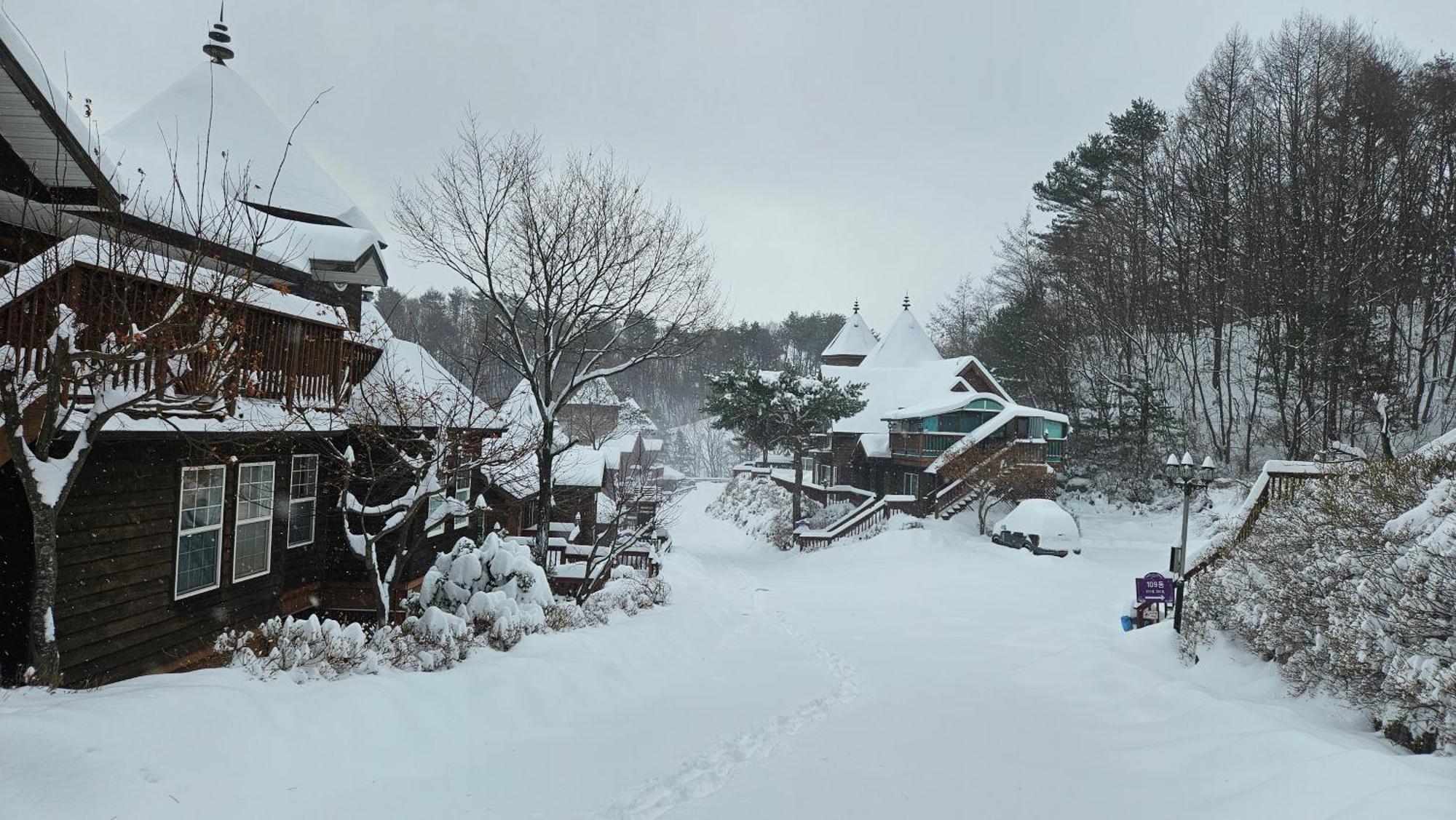 Elf Resort Hotel Pyeongchang Extérieur photo