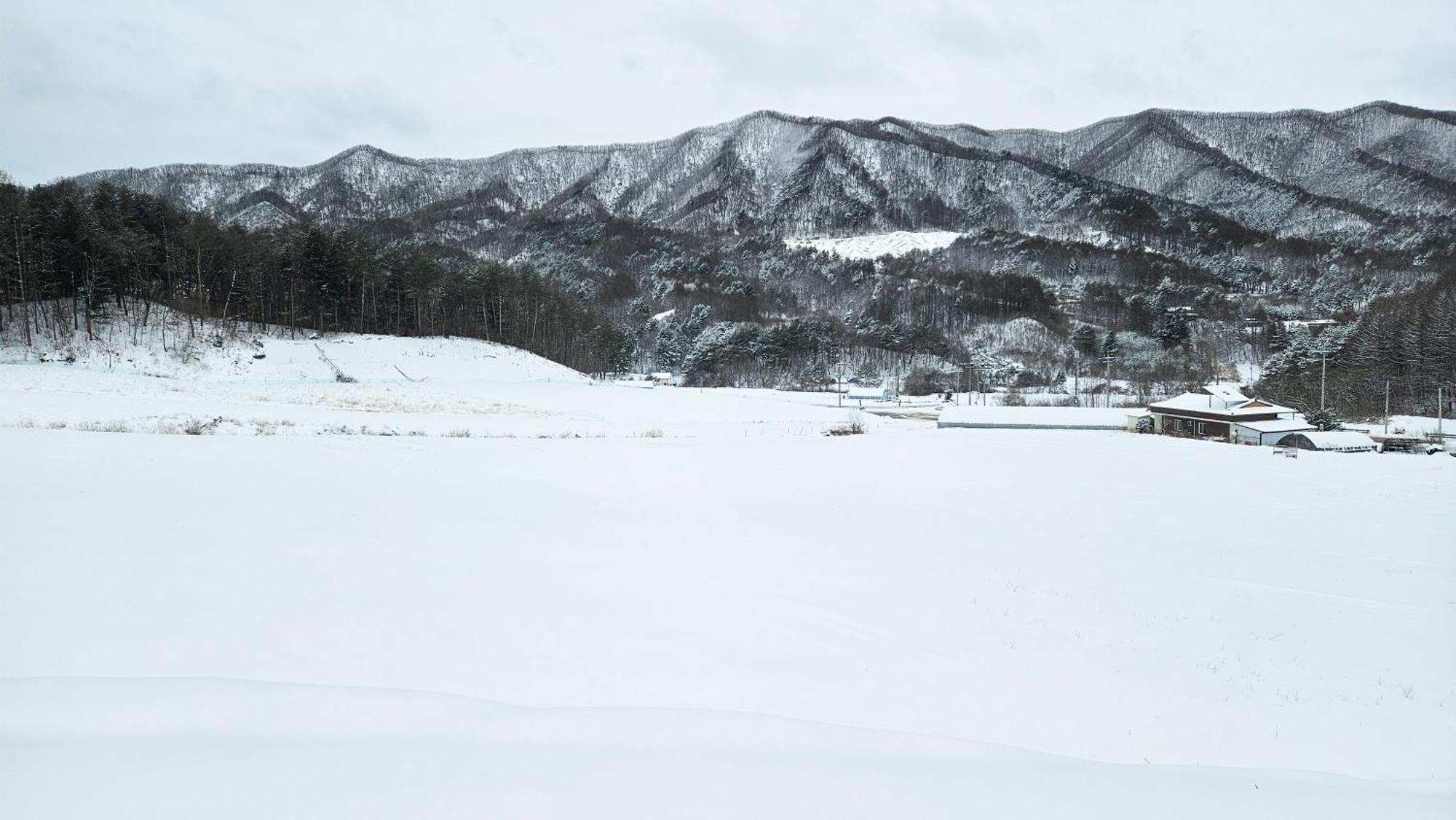 Elf Resort Hotel Pyeongchang Extérieur photo