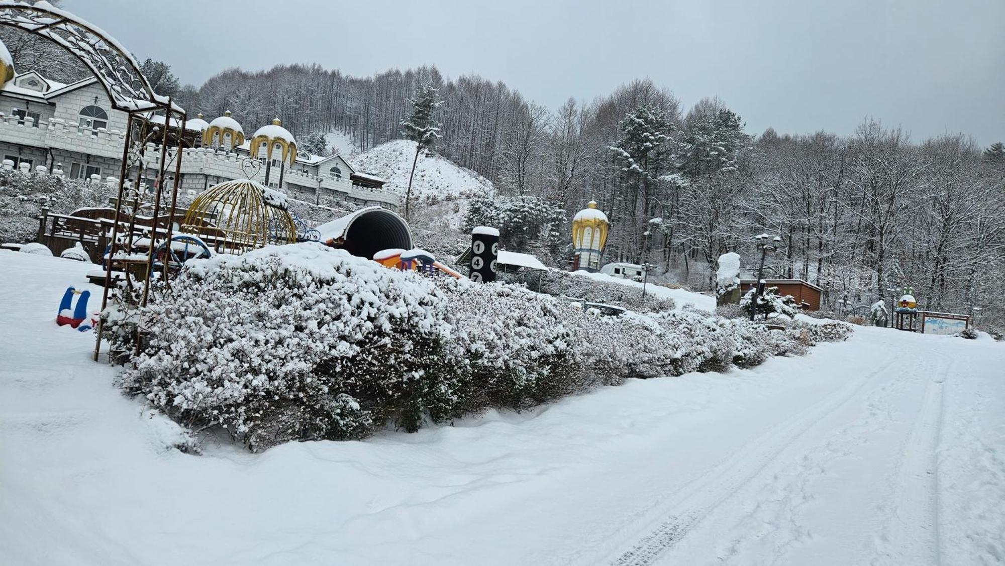 Elf Resort Hotel Pyeongchang Extérieur photo